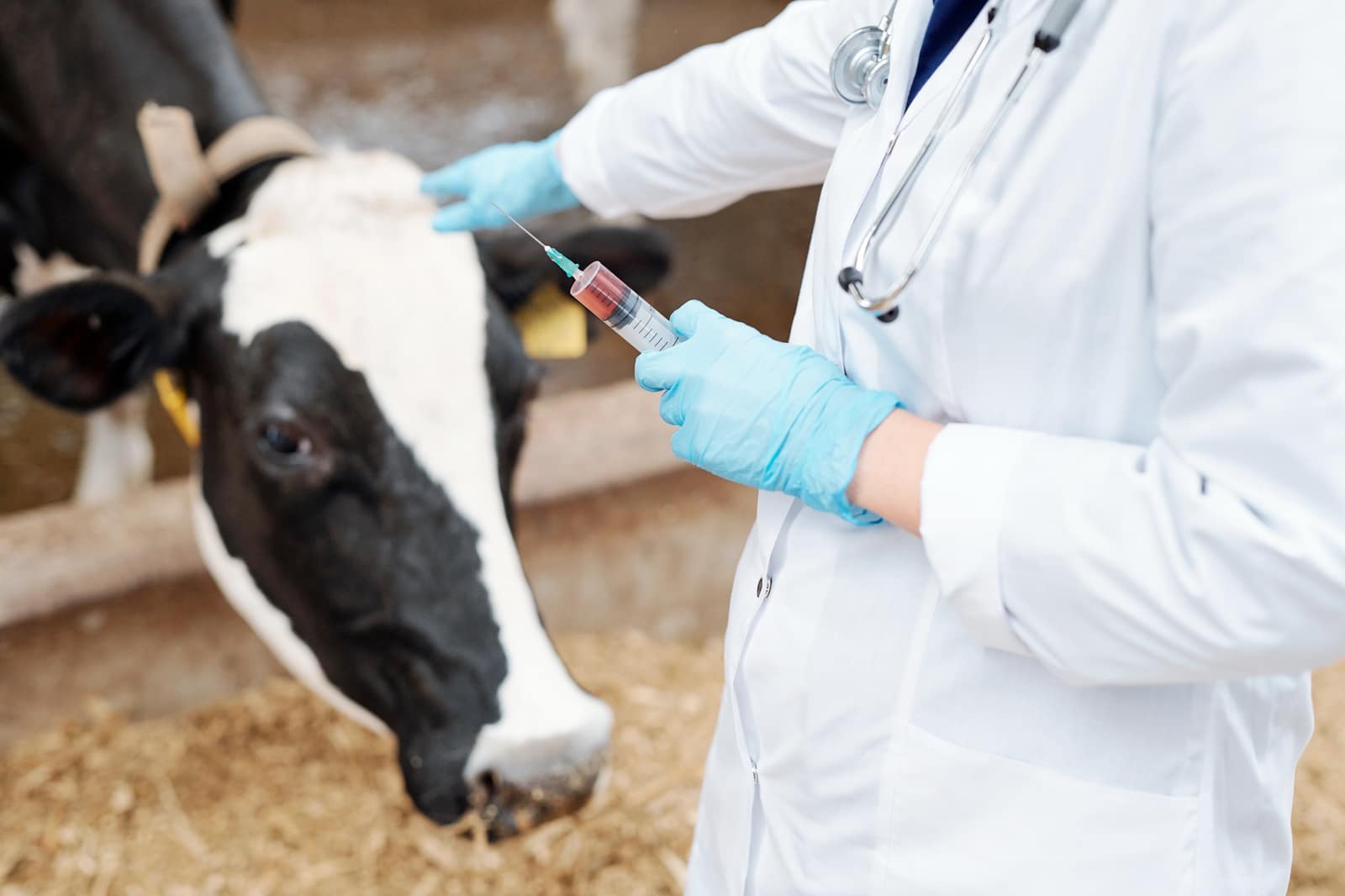 Veterinary Science