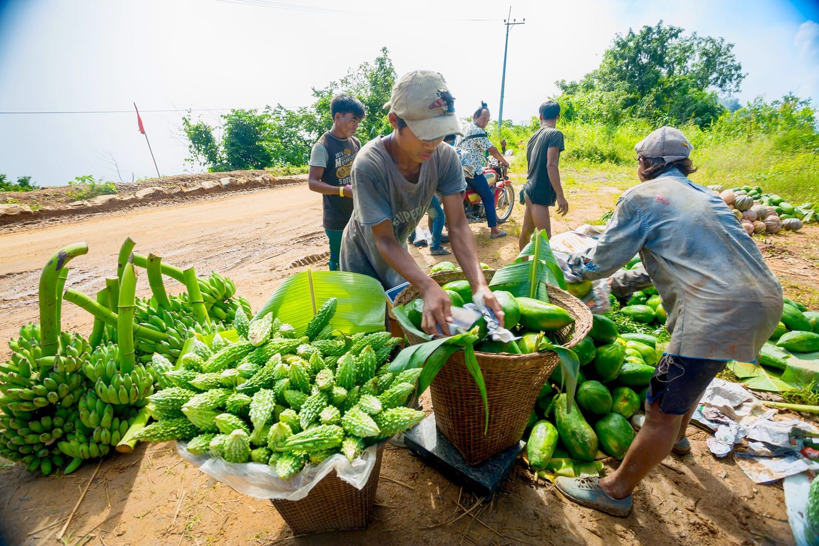 Farmer Producer Organisations (FPO)