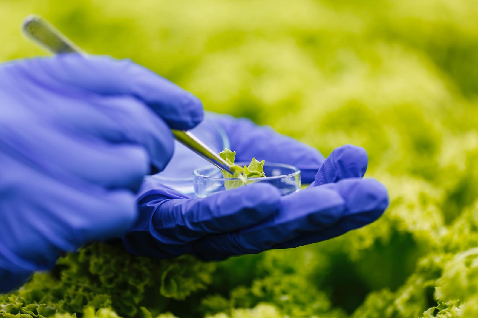 Ecology, Biodiversity & Biotechnology