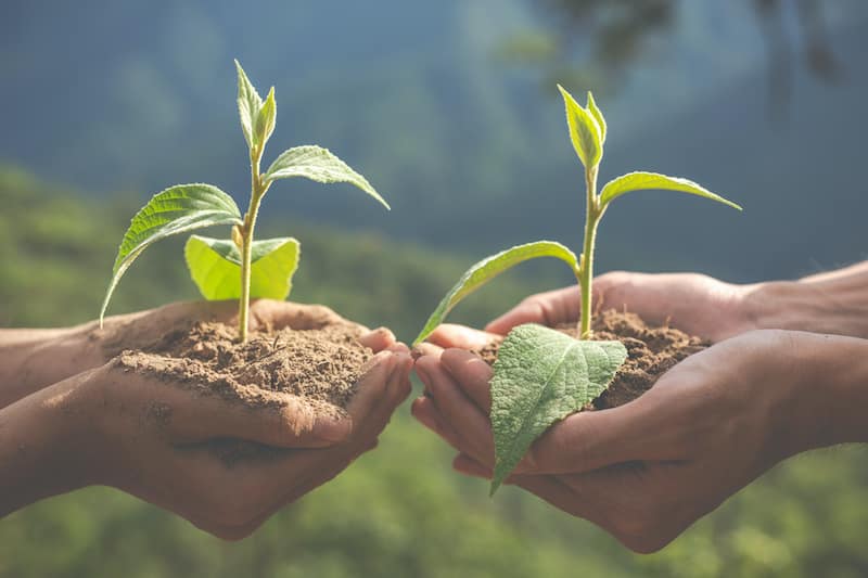 Propagation and enrichment/augmentation planting of selected medicinal plants in Venganoor Grama Panchayat…